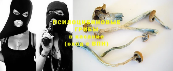 шишки Мегион