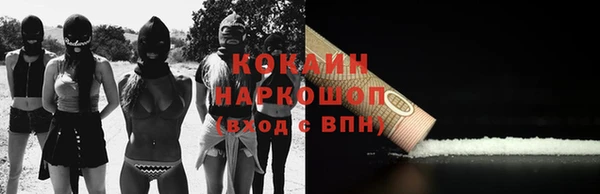 шишки Мегион