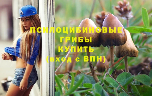шишки Мегион