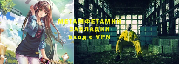 шишки Мегион