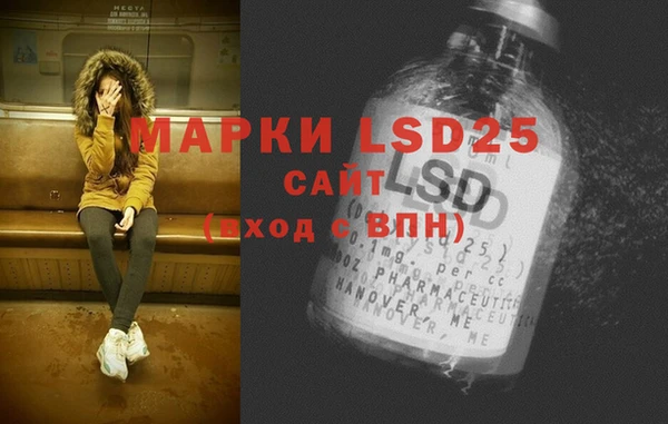 шишки Мегион