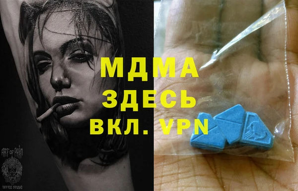 шишки Мегион