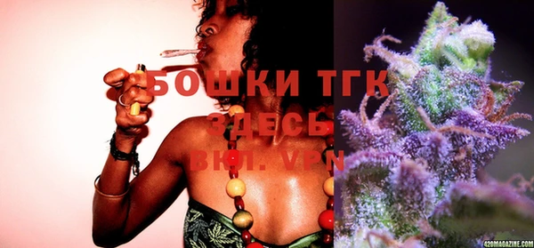 шишки Мегион