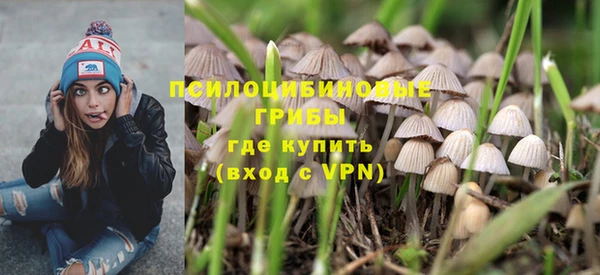 тгк Медвежьегорск