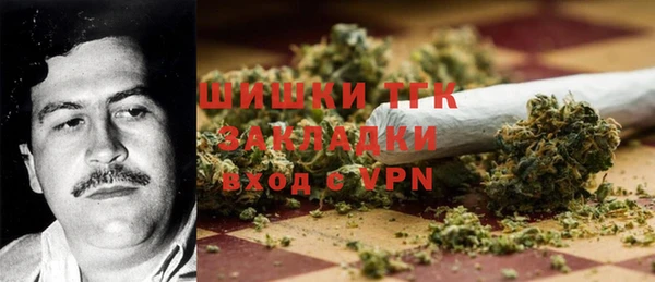 тгк Медвежьегорск