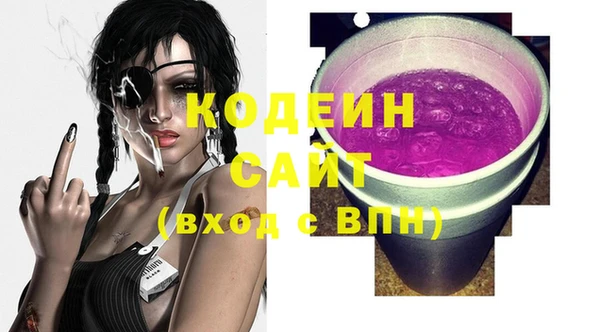 шишки Мегион