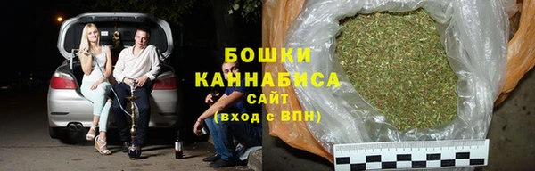 шишки Мегион
